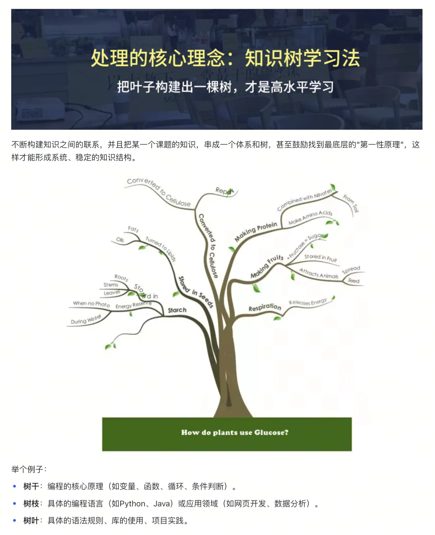 截屏2026-01-25 11.08.39